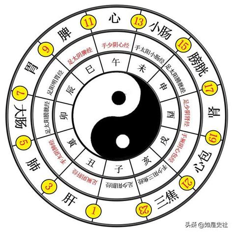 生兩儀|易經入門：太極、兩儀、四象、八卦是什麼意思？